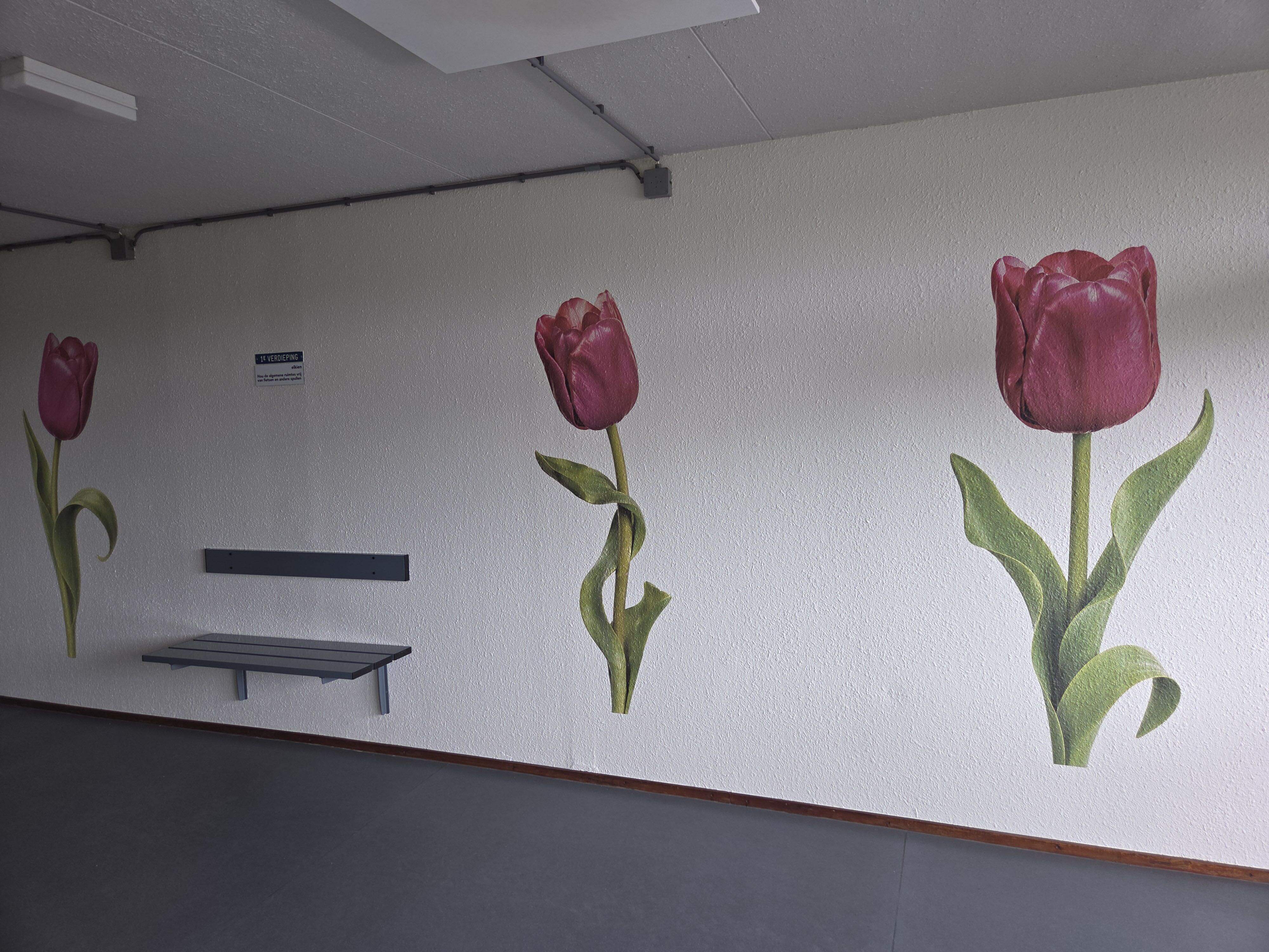Drie roze tulpen geprint op de wand van een hal bij Elkien in Leeuwarden