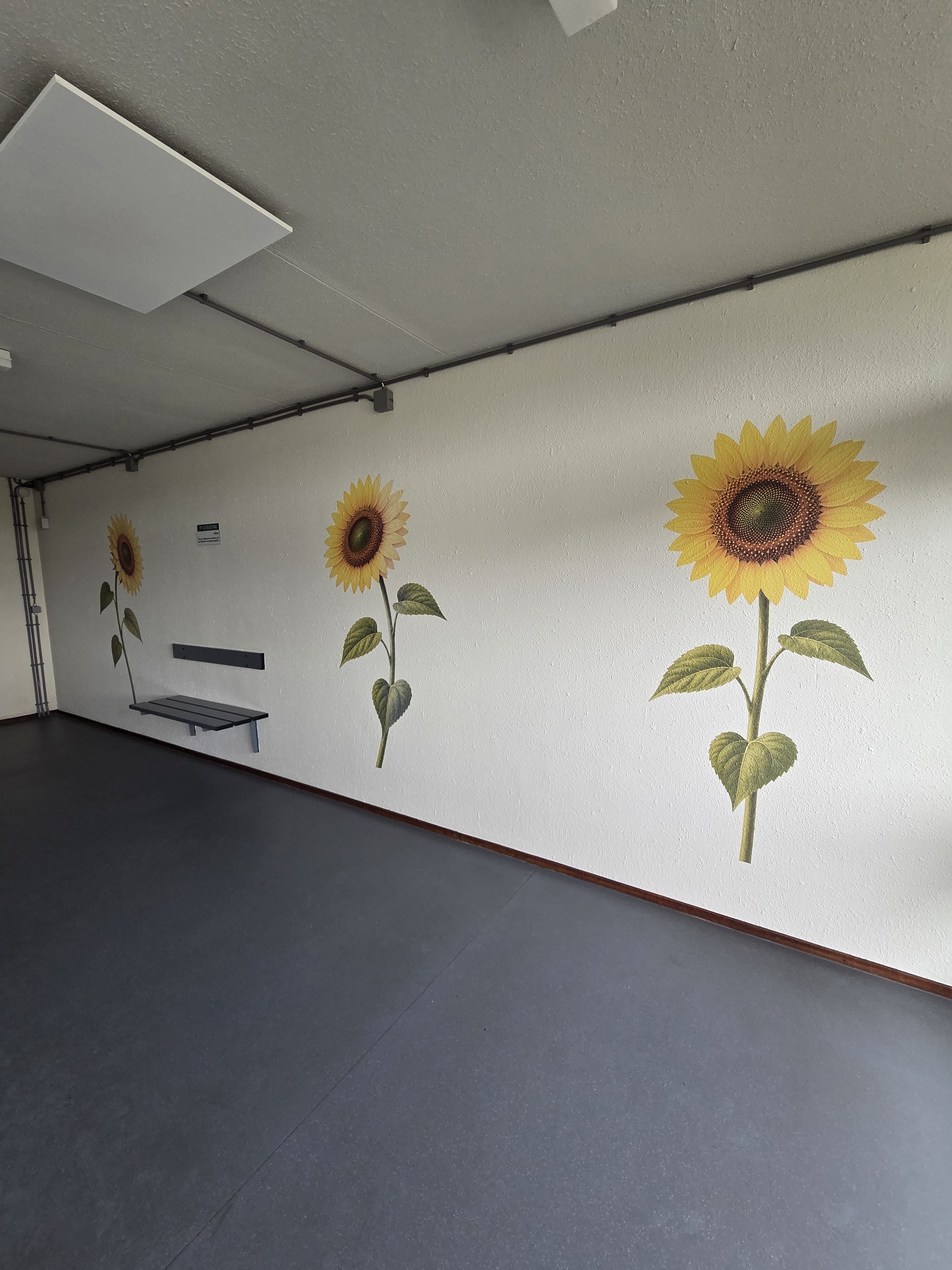 Gele zonnebloemen rechtstreeks geprint op de wand van een hal